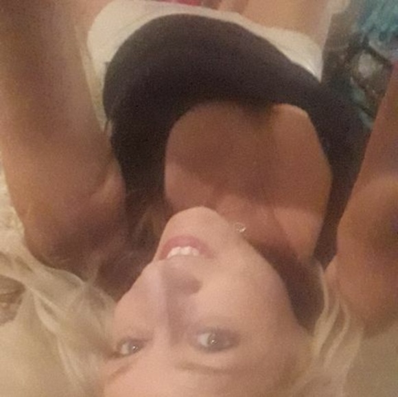 Meet your Posher, Leia - Picture 1 of 1